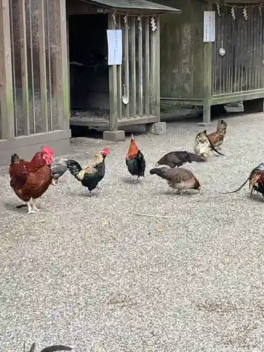 石上神宮(奈良県)