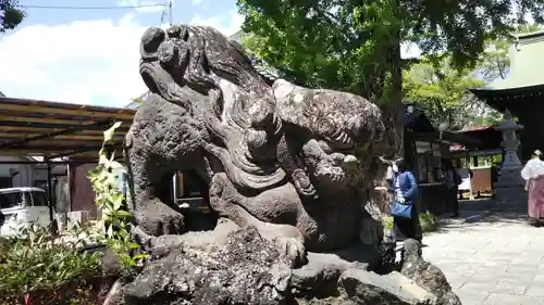 菊田神社の狛犬