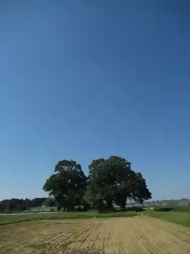 神明神社(千葉県)