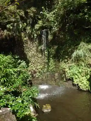 銭洗弁財天宇賀福神社(神奈川県)
