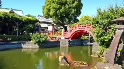 亀戸天神社の庭園