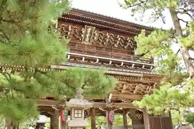 智恩寺の山門・神門