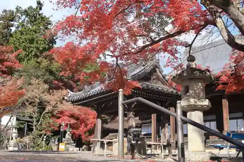 西教寺の建物その他