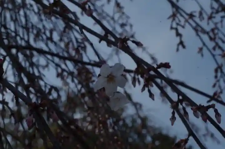 敷地神社(わら天神宮)(京都府)