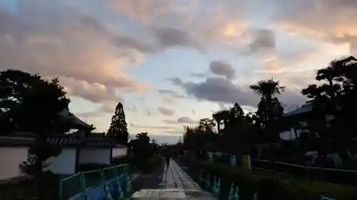 妙心寺（妙心禅寺）の景色