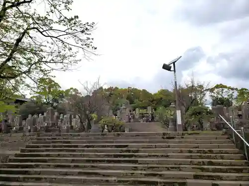 南洲神社のお墓