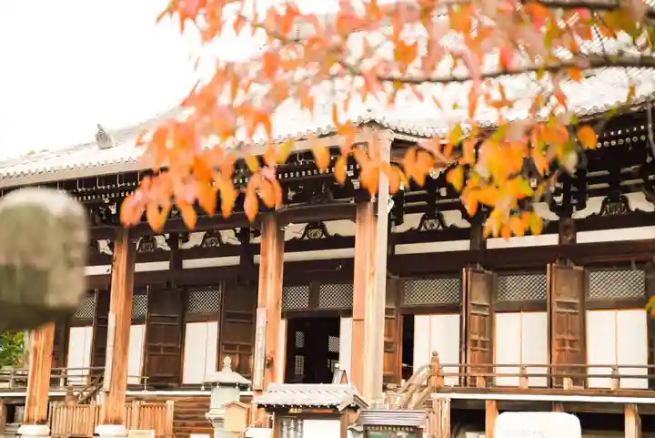 くろ谷 金戒光明寺の本殿・本堂