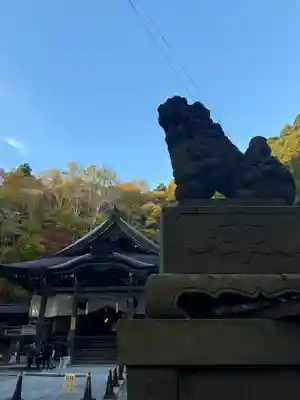 戸隠神社中社(長野県)