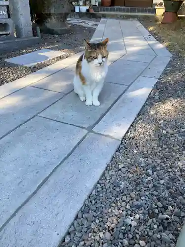 長楽寺(栃木県)
