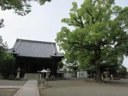 斑鳩寺のその他建物