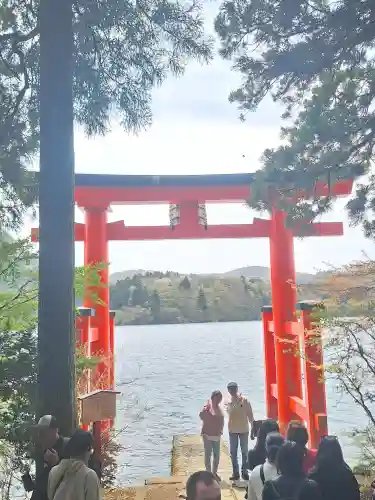 箱根神社の{uncategorized: "未分類", other: "その他", undefined: "問題あり", building: "その他建物", grave: "お墓", sacred_gate: "鳥居", guardian: "狛犬", statue: "像", buddha: "仏像", history: "歴史", nature: "自然", garden: "庭園", animal: "動物", pagoda: "塔", temizu: "手水舎", mountain_gate: "山門・神門", sanctuary: "本殿・本堂", subordinate: "末社・摂社", art: "芸術", scenery: "景色", jizo: "地蔵", ema: "絵馬", goshuin: "御朱印", omikuji: "おみくじ", items: "授与品その他", amulet: "お守り", goshuincho: "御朱印帳", eats: "食事", festival: "お祭り", votive_dance: "神楽", shichigosan: "七五三参", wedding: "結婚式", experience: "体験その他", initially: "初詣", around: "周辺", anti_infection: "感染症対策"}