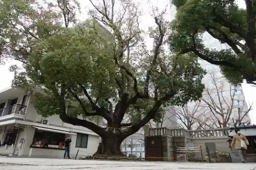 難波神社の自然