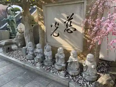 本壽寺（本寿寺）(兵庫県)