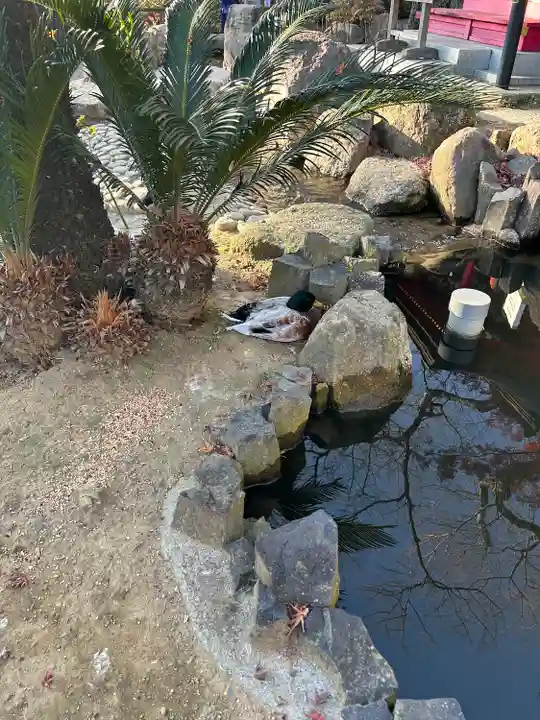 楽法寺(雨引観音)(茨城県)