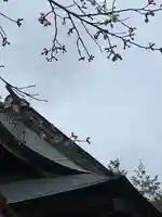 滑川神社 - 仕事と子どもの守り神の自然