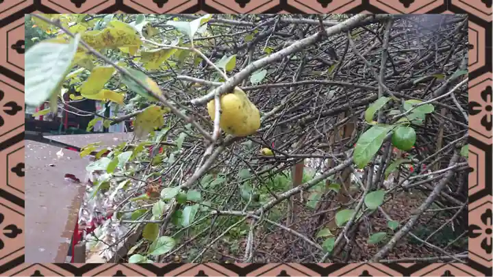 冠稲荷神社(群馬県)
