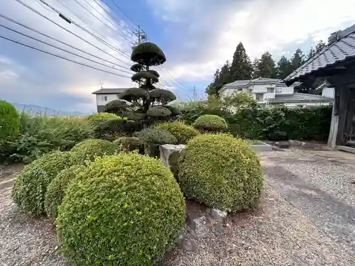 長照寺(長野県)