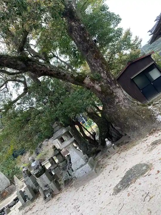 普賢寺のその他建物