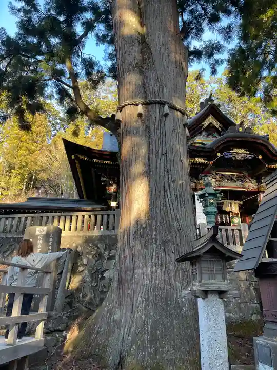 三峯神社(埼玉県)
