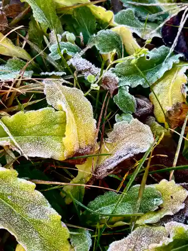 蚊里田八幡宮(長野県)