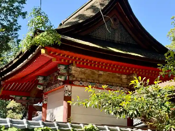 大村神社の{uncategorized: "未分類", other: "その他", undefined: "問題あり", building: "その他建物", grave: "お墓", sacred_gate: "鳥居", guardian: "狛犬", statue: "像", buddha: "仏像", history: "歴史", nature: "自然", garden: "庭園", animal: "動物", pagoda: "塔", temizu: "手水舎", mountain_gate: "山門・神門", sanctuary: "本殿・本堂", subordinate: "末社・摂社", art: "芸術", scenery: "景色", jizo: "地蔵", ema: "絵馬", goshuin: "御朱印", omikuji: "おみくじ", items: "授与品その他", amulet: "お守り", goshuincho: "御朱印帳", eats: "食事", festival: "お祭り", votive_dance: "神楽", shichigosan: "七五三参", wedding: "結婚式", experience: "体験その他", initially: "初詣", around: "周辺", anti_infection: "感染症対策"}