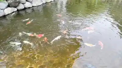 時宗総本山 遊行寺（正式：清浄光寺）(神奈川県)