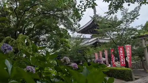 本法寺(京都府)