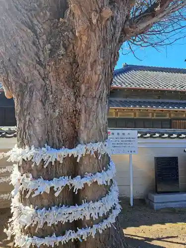 子守神社(千葉県)