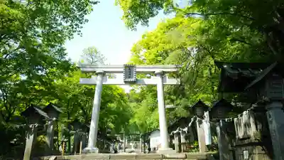 南湖神社の鳥居