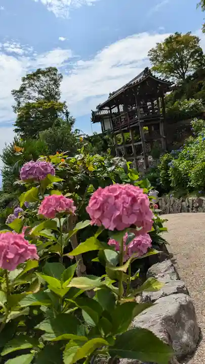 善峯寺(京都府)