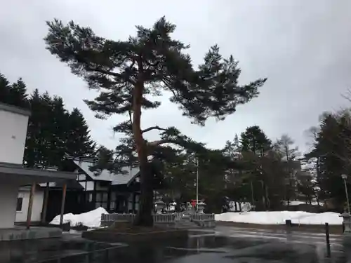 厚真神社のその他建物