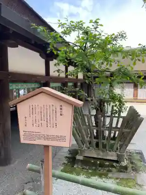 春日大社(奈良県)