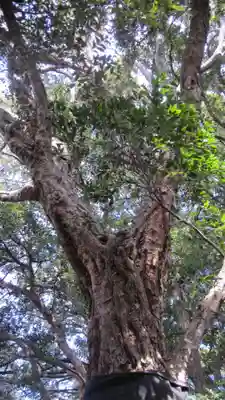 浅間神社(千葉県)