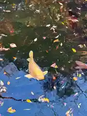 愛宕神社(東京都)