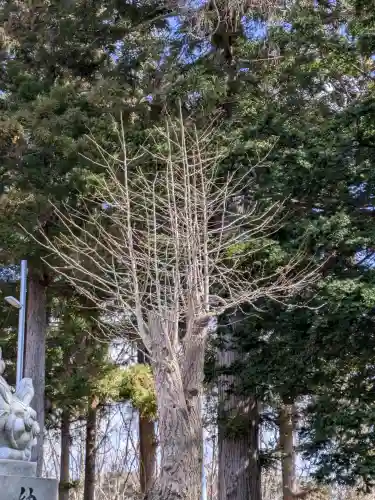 神山稲荷神社の{uncategorized: "未分類", other: "その他", undefined: "問題あり", building: "その他建物", grave: "お墓", sacred_gate: "鳥居", guardian: "狛犬", statue: "像", buddha: "仏像", history: "歴史", nature: "自然", garden: "庭園", animal: "動物", pagoda: "塔", temizu: "手水舎", mountain_gate: "山門・神門", sanctuary: "本殿・本堂", subordinate: "末社・摂社", art: "芸術", scenery: "景色", jizo: "地蔵", ema: "絵馬", goshuin: "御朱印", omikuji: "おみくじ", items: "授与品その他", amulet: "お守り", goshuincho: "御朱印帳", eats: "食事", festival: "お祭り", votive_dance: "神楽", shichigosan: "七五三参", wedding: "結婚式", experience: "体験その他", initially: "初詣", around: "周辺", anti_infection: "感染症対策"}