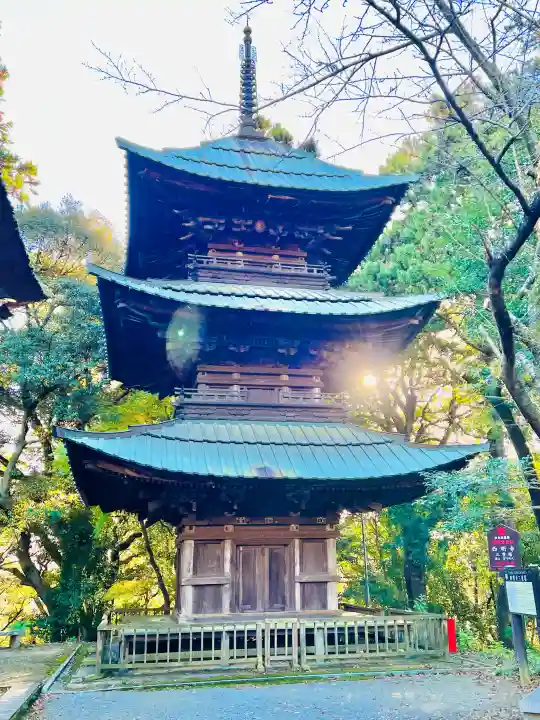 西明寺の{uncategorized: "未分類", other: "その他", undefined: "問題あり", building: "その他建物", grave: "お墓", sacred_gate: "鳥居", guardian: "狛犬", statue: "像", buddha: "仏像", history: "歴史", nature: "自然", garden: "庭園", animal: "動物", pagoda: "塔", temizu: "手水舎", mountain_gate: "山門・神門", sanctuary: "本殿・本堂", subordinate: "末社・摂社", art: "芸術", scenery: "景色", jizo: "地蔵", ema: "絵馬", goshuin: "御朱印", omikuji: "おみくじ", items: "授与品その他", amulet: "お守り", goshuincho: "御朱印帳", eats: "食事", festival: "お祭り", votive_dance: "神楽", shichigosan: "七五三参", wedding: "結婚式", experience: "体験その他", initially: "初詣", around: "周辺", anti_infection: "感染症対策"}