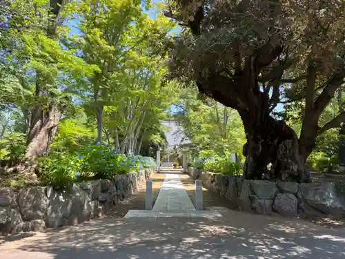 千手院(千葉県)