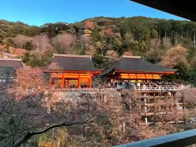 清水寺の{uncategorized: "未分類", other: "その他", undefined: "問題あり", building: "その他建物", grave: "お墓", sacred_gate: "鳥居", guardian: "狛犬", statue: "像", buddha: "仏像", history: "歴史", nature: "自然", garden: "庭園", animal: "動物", pagoda: "塔", temizu: "手水舎", mountain_gate: "山門・神門", sanctuary: "本殿・本堂", subordinate: "末社・摂社", art: "芸術", scenery: "景色", jizo: "地蔵", ema: "絵馬", goshuin: "御朱印", omikuji: "おみくじ", items: "授与品その他", amulet: "お守り", goshuincho: "御朱印帳", eats: "食事", festival: "お祭り", votive_dance: "神楽", shichigosan: "七五三参", wedding: "結婚式", experience: "体験その他", initially: "初詣", around: "周辺", anti_infection: "感染症対策"}