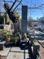 善仁寺の{uncategorized: "未分類", other: "その他", undefined: "問題あり", building: "その他建物", grave: "お墓", sacred_gate: "鳥居", guardian: "狛犬", statue: "像", buddha: "仏像", history: "歴史", nature: "自然", garden: "庭園", animal: "動物", pagoda: "塔", temizu: "手水舎", mountain_gate: "山門・神門", sanctuary: "本殿・本堂", subordinate: "末社・摂社", art: "芸術", scenery: "景色", jizo: "地蔵", ema: "絵馬", goshuin: "御朱印", omikuji: "おみくじ", items: "授与品その他", amulet: "お守り", goshuincho: "御朱印帳", eats: "食事", festival: "お祭り", votive_dance: "神楽", shichigosan: "七五三参", wedding: "結婚式", experience: "体験その他", initially: "初詣", around: "周辺", anti_infection: "感染症対策"}