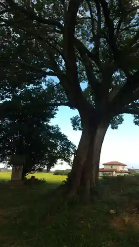 祠(名称不明)(茨城県)