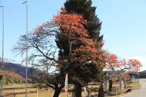 高司神社〜むすびの神の鎮まる社〜の庭園