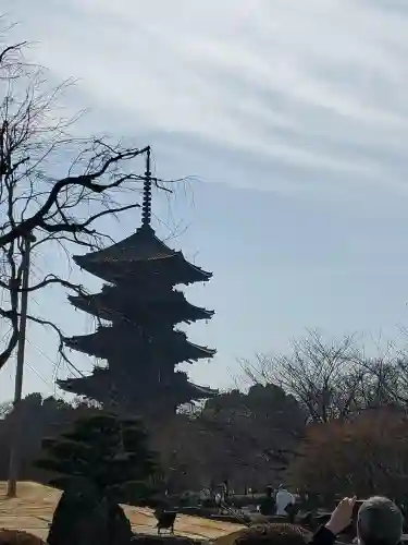 東寺（教王護国寺）の{uncategorized: "未分類", other: "その他", undefined: "問題あり", building: "その他建物", grave: "お墓", sacred_gate: "鳥居", guardian: "狛犬", statue: "像", buddha: "仏像", history: "歴史", nature: "自然", garden: "庭園", animal: "動物", pagoda: "塔", temizu: "手水舎", mountain_gate: "山門・神門", sanctuary: "本殿・本堂", subordinate: "末社・摂社", art: "芸術", scenery: "景色", jizo: "地蔵", ema: "絵馬", goshuin: "御朱印", omikuji: "おみくじ", items: "授与品その他", amulet: "お守り", goshuincho: "御朱印帳", eats: "食事", festival: "お祭り", votive_dance: "神楽", shichigosan: "七五三参", wedding: "結婚式", experience: "体験その他", initially: "初詣", around: "周辺", anti_infection: "感染症対策"}