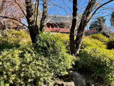 清水観音堂(東京都)