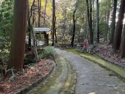 正伝護国禅寺(正伝寺･正傳寺)の{uncategorized: "未分類", other: "その他", undefined: "問題あり", building: "その他建物", grave: "お墓", sacred_gate: "鳥居", guardian: "狛犬", statue: "像", buddha: "仏像", history: "歴史", nature: "自然", garden: "庭園", animal: "動物", pagoda: "塔", temizu: "手水舎", mountain_gate: "山門・神門", sanctuary: "本殿・本堂", subordinate: "末社・摂社", art: "芸術", scenery: "景色", jizo: "地蔵", ema: "絵馬", goshuin: "御朱印", omikuji: "おみくじ", items: "授与品その他", amulet: "お守り", goshuincho: "御朱印帳", eats: "食事", festival: "お祭り", votive_dance: "神楽", shichigosan: "七五三参", wedding: "結婚式", experience: "体験その他", initially: "初詣", around: "周辺", anti_infection: "感染症対策"}