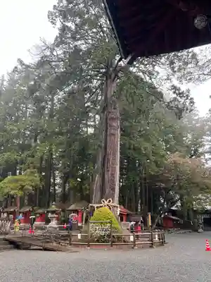 北口本宮冨士浅間神社(山梨県)