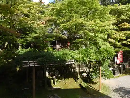 今熊野観音寺(京都府)