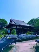 般若寺 ❁コスモス寺❁(奈良県)
