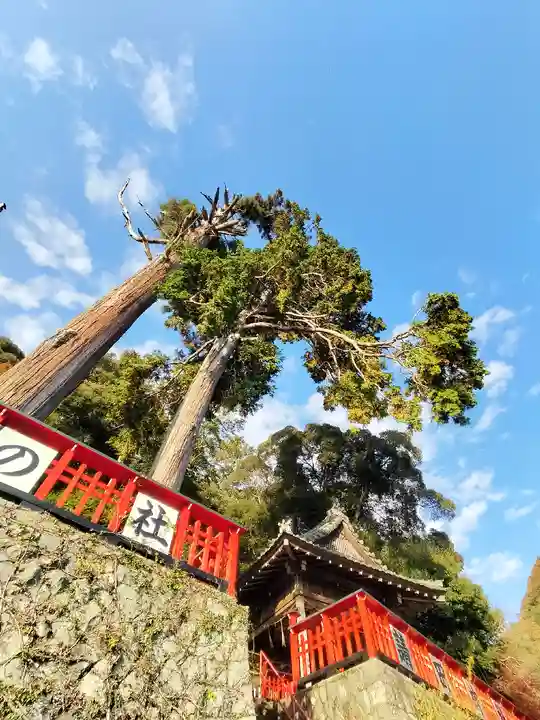 請田神社(京都府)