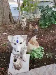 北澤八幡神社の狛犬