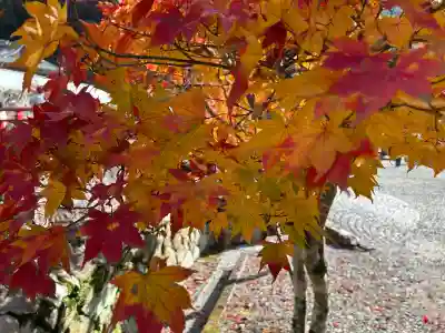 瀧安寺の{uncategorized: "未分類", other: "その他", undefined: "問題あり", building: "その他建物", grave: "お墓", sacred_gate: "鳥居", guardian: "狛犬", statue: "像", buddha: "仏像", history: "歴史", nature: "自然", garden: "庭園", animal: "動物", pagoda: "塔", temizu: "手水舎", mountain_gate: "山門・神門", sanctuary: "本殿・本堂", subordinate: "末社・摂社", art: "芸術", scenery: "景色", jizo: "地蔵", ema: "絵馬", goshuin: "御朱印", omikuji: "おみくじ", items: "授与品その他", amulet: "お守り", goshuincho: "御朱印帳", eats: "食事", festival: "お祭り", votive_dance: "神楽", shichigosan: "七五三参", wedding: "結婚式", experience: "体験その他", initially: "初詣", around: "周辺", anti_infection: "感染症対策"}